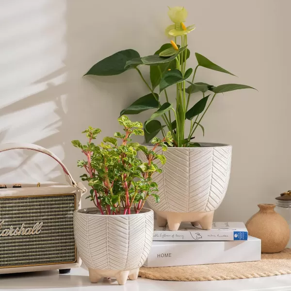 La Jolie Muse Ceramic Planter Flower Plant Pots- 6.7+5.5 Inch Concave Dot Patterned Cylinder Flower Pot W/ Drain Hole for Indoor, Set of 2, Ivory