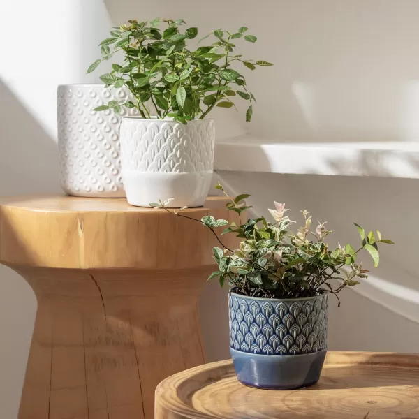 La Jolie Muse Ceramic Planter Flower Plant Pots- 6.7+5.5 Inch Concave Dot Patterned Cylinder Flower Pot W/ Drain Hole for Indoor, Set of 2, Ivory
