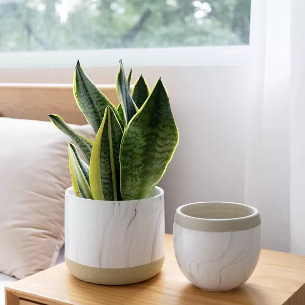 La Jolie Muse Ceramic Planter Flower Plant Pots- 6.7+5.5 Inch Concave Dot Patterned Cylinder Flower Pot W/ Drain Hole for Indoor, Set of 2, Ivory