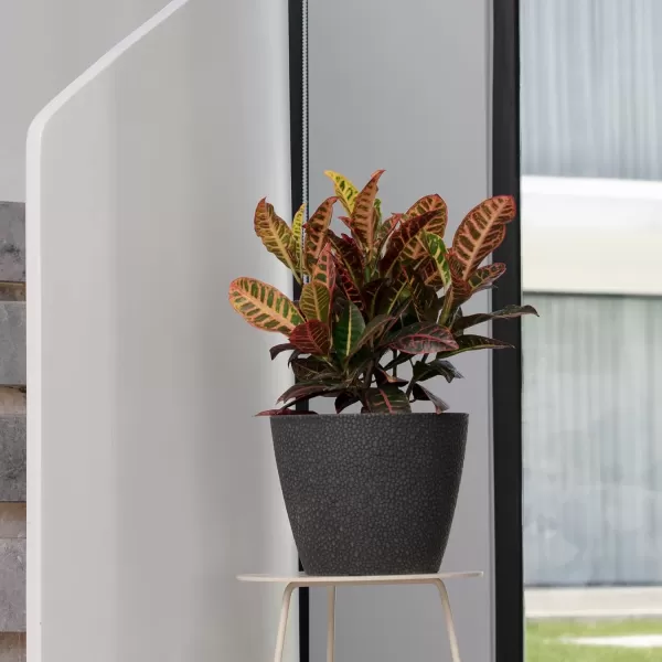 La Jolie Muse Flower Pots Indoor Outdoor Planter - 8.6 Inch Planter Pot W/ Drainage, Modern Plant Pot, Speckled-Black