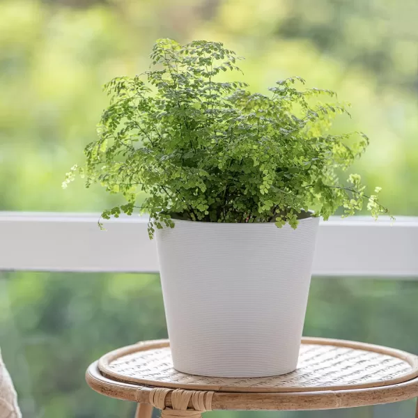 La Jolie Muse Flower Pots Indoor Outdoor Planter - 8.6 Inch Planter Pot W/ Drainage, Modern Plant Pot, Speckled-Black
