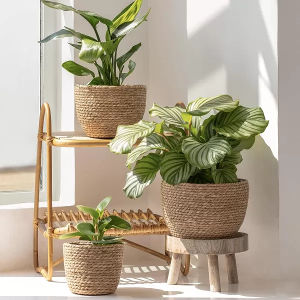 La Jolíe Muse Seagrass Planter Basket Indoor, Flower Pots Cover, Plant Containers, Indoor Planters Flower Pots with Iron Stand, Natural, 3-Pack,10.2"+8.7"+6.7"