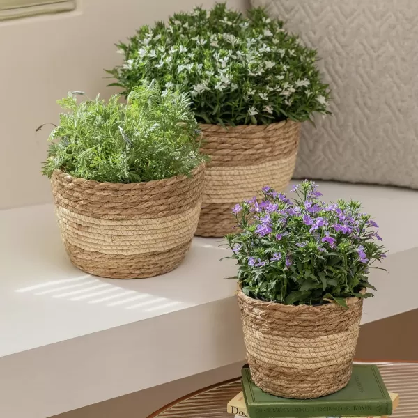 La Jolíe Muse Seagrass Planter Basket Indoor, Flower Pots Cover, Plant Containers, Indoor Planters Flower Pots with Iron Stand, Natural, 3-Pack,10.2"+8.7"+6.7"