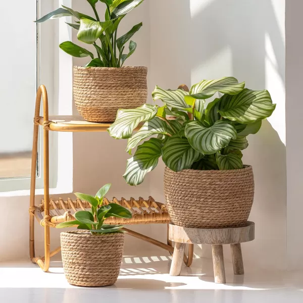 La Jolíe Muse Seagrass Planter Basket Indoor, Flower Pots Cover, Plant Containers, Indoor Planters Flower Pots with Iron Stand, Natural, 3-Pack,10.2"+8.7"+6.7"