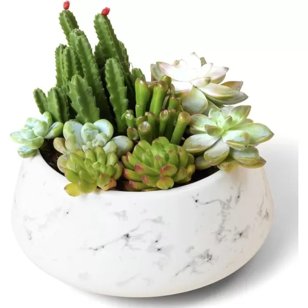 Ceramic Animal Succulent Planter Pots - 6.1 + 4.5 inch Cute Alpaca / Llama &amp; Goat Rough Pottery Unglazed Flower Plant Pots Indoor with Drainage for Herb Cactus Air Plants, Home Decor Gifts for Mom