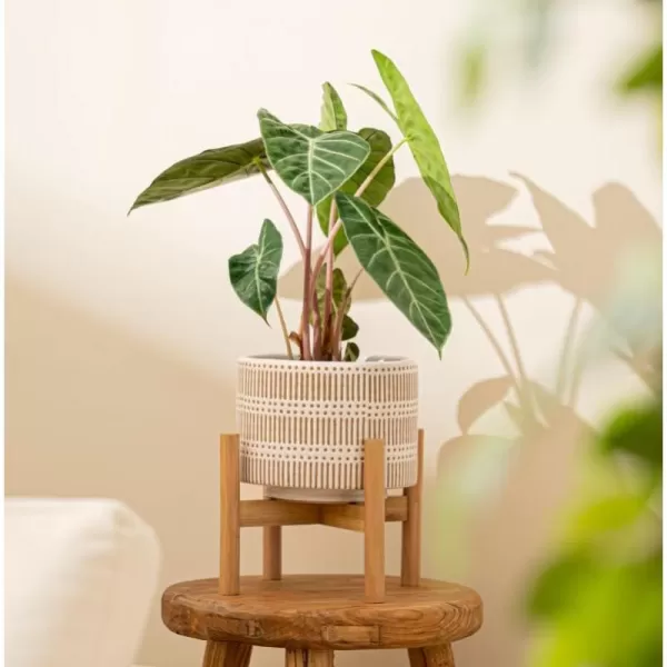 LA JOLIE MUSE Ceramic Planter with Wood Stand - 8 Inch White Cylinder Embossed Hobnail Patterned Flower Plant Pot Indoor