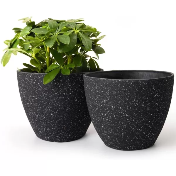 Speckled Black