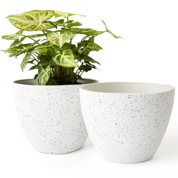 Speckled White