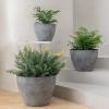 imageLA JOLIE MUSE 14211386 Inch PlantersSet of 3 IndoorOutdoor Round PlantersGrey Tree PlantersPlant Container with Drain HolesFlower Pots for Patio and Deck14211386 Rock Gray