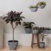 imageLA JOLIE MUSE 14211386 Inch PlantersSet of 3 IndoorOutdoor Round PlantersGrey Tree PlantersPlant Container with Drain HolesFlower Pots for Patio and Deck14211386 Rock Gray