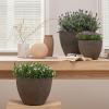 imageLA JOLIE MUSE 14211386 Inch PlantersSet of 3 IndoorOutdoor Round PlantersGrey Tree PlantersPlant Container with Drain HolesFlower Pots for Patio and Deck14211386 New Iron