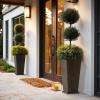 imageLA JOLIE MUSE 30 inch Tall Black Planters Set of 2IndoorOutdoor Rectanglar Large PlantersV Shaped Taper Planters for Front DoorIron