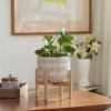imageLA JOLIE MUSE Ceramic Plant Pot with Wood Stand  73 Inch Modern Round Decorative Flower Pot Indoor with Wood Planter Holder Beige and WhiteL Beige and White