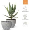 imageLA JOLIE MUSE Flower Pot Large Garden Planters 142 inch Pack 2 Outdoor Indoor Outdoor Planters with Drain Hole Marble