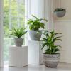 imageLA JOLIE MUSE Flower Pot Large Garden Planters 142 inch Pack 2 Outdoor Indoor Outdoor Planters with Drain Hole Marble