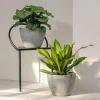 imageLA JOLIE MUSE Flower Pot Large Garden Planters 142 inch Pack 2 Outdoor Indoor Outdoor Planters with Drain Hole Marble