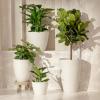 imageLA JOLIE MUSE Hanging Planters for Outdoor Plants Large Hanging Planter with Drain Holes Outdoor Hanging Flower Pots White Stone Honeycomb 132 Inch Set of 2White