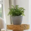 imageLA JOLIE MUSE Outdoor Indoor Tree Planters14 Inch Large Planter Flower PotsModern Decorative White Planter Pot for House PlantsHoneycombLight Grey