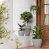 imageLA JOLIE MUSE Outdoor Indoor Tree Planters14 Inch Large Planter Flower PotsModern Decorative White Planter Pot for House PlantsHoneycombLight Grey