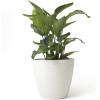 imageLA JOLIE MUSE Outdoor Indoor Tree Planters14 Inch Large Planter Flower PotsModern Decorative White Planter Pot for House PlantsHoneycombWhite