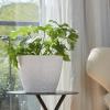 imageLA JOLIE MUSE Outdoor Indoor Tree Planters14 Inch Large Planter Flower PotsModern Decorative White Planter Pot for House PlantsHoneycombWhite