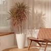 imageLA JOLIE MUSE Tall White Planter for Indoor Plants20 Inch Tall Round Planter Modern Flower Pot ContainersLarge Decorative Tree Plant Pot1 PackWhite