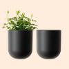 imageLA JOLIE MUSE Wall Hanging Planters for Indoor PlantsHanging Flower Pots for Air Plants Succulent Set of 2 6 Inch Speckled WhiteBlack