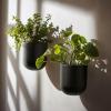 imageLA JOLIE MUSE Wall Hanging Planters for Indoor PlantsHanging Flower Pots for Air Plants Succulent Set of 2 6 Inch Speckled WhiteBlack