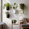 imageLA JOLIE MUSE Wall Hanging Planters for Indoor PlantsHanging Flower Pots for Air Plants Succulent Set of 2 6 Inch Speckled WhiteBlack