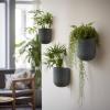 imageLA JOLIE MUSE Wall Hanging Planters for Indoor PlantsHanging Flower Pots for Air Plants Succulent Set of 2 6 Inch Speckled WhiteGray