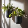 imageLA JOLIE MUSE Wall Hanging Planters for Indoor PlantsHanging Flower Pots for Air Plants Succulent Set of 2 6 Inch Speckled WhiteGray