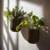 imageLA JOLIE MUSE Wall Hanging Planters for Indoor PlantsHanging Flower Pots for Air Plants Succulent Set of 2 6 Inch Speckled WhiteIron