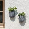 imageLA JOLIE MUSE Wall Hanging Planters for Indoor PlantsHanging Flower Pots for Air Plants Succulent Set of 2 6 Inch Speckled WhiteRock Gray