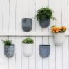 imageLA JOLIE MUSE Wall Hanging Planters for Indoor PlantsHanging Flower Pots for Air Plants Succulent Set of 2 6 Inch Speckled WhiteWhite