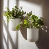 imageLA JOLIE MUSE Wall Hanging Planters for Indoor PlantsHanging Flower Pots for Air Plants Succulent Set of 2 6 Inch Speckled WhiteWhite