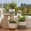 imageLA JOLIE MUSE White Ceramic Flower Pot Garden Planters 67 Inch Pack 2 Indoor Plant Containers with Gold and Grey DetailingWhite  Gold  Grey