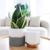 imageLA JOLIE MUSE White Ceramic Flower Pot Garden Planters 67 Inch Pack 2 Indoor Plant Containers with Gold and Grey DetailingWhite  Gold  Grey