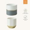 imageLA JOLIE MUSE White Ceramic Flower Pot Garden Planters 67 Inch Pack 2 Indoor Plant Containers with Gold and Grey DetailingWhite  Gold  Grey