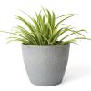 imageLA JOLIE MUSE Outdoor Indoor Tree Planters14 Inch Large Planter Flower PotsModern Decorative White Planter Pot for House PlantsHoneycombLight Grey