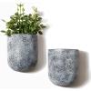 Rock Gray