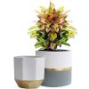 imageLA JOLIE MUSE White Ceramic Flower Pot Garden Planters 67 Inch Pack 2 Indoor Plant Containers with Gold and Grey DetailingWhite  Gold  Grey