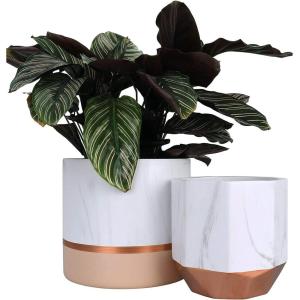 imageLA JOLIE MUSE White Ceramic Flower Pot Garden Planters 67 Inch Pack 2 Indoor Plant Containers with Gold and Grey Detailing6754pink