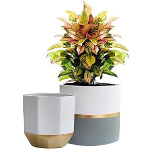 imageLA JOLIE MUSE White Ceramic Flower Pot Garden Planters 67 Inch Pack 2 Indoor Plant Containers with Gold and Grey DetailingWhite  Gold  Grey