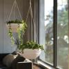 image10 Inch Hanging Planters for Indoor Plants Outdoor Garden Planter Pots with SelfWatering Tray Oatmeal Set of 2Eggshell White