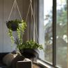 image10 Inch Hanging Planters for Indoor Plants Outdoor Garden Planter Pots with SelfWatering Tray Oatmeal Set of 2Jet Black