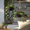 image10 Inch Hanging Planters for Indoor Plants Outdoor Garden Planter Pots with SelfWatering Tray Oatmeal Set of 2Jet Black