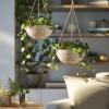 image10 Inch Hanging Planters for Indoor Plants Outdoor Garden Planter Pots with SelfWatering Tray Oatmeal Set of 2Oatmeal