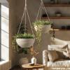 image10 Inch Hanging Planters for Indoor Plants Outdoor Garden Planter Pots with SelfWatering Tray Oatmeal Set of 2Oatmeal