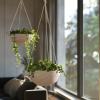 image10 Inch Hanging Planters for Indoor Plants Outdoor Garden Planter Pots with SelfWatering Tray Oatmeal Set of 2Oatmeal