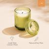 imageLA JOLIE MUSE Eucalyptus ampamp Alpine Sage Candle Scented Candles for Home Candle Gifts for Women ampamp Men Glass Jar Candle 40 Hours Burning Time 7ozStarlit Golden Fir